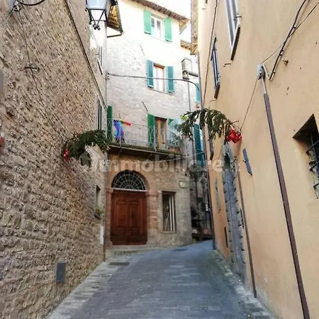Nido Nel Cuore Di Montone *